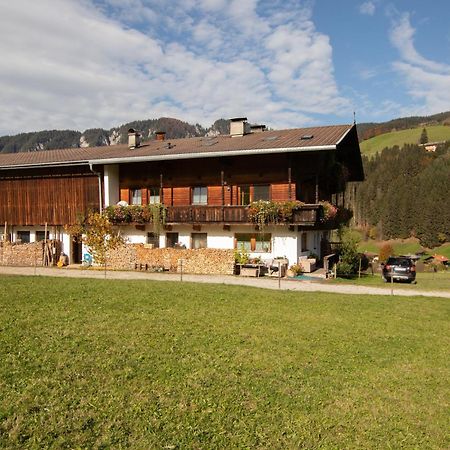 Ferienwohnung Zum Muehltal Wild025 Wildschoenau Dış mekan fotoğraf